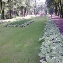 W Parku Gregoroviusa - panoramio
